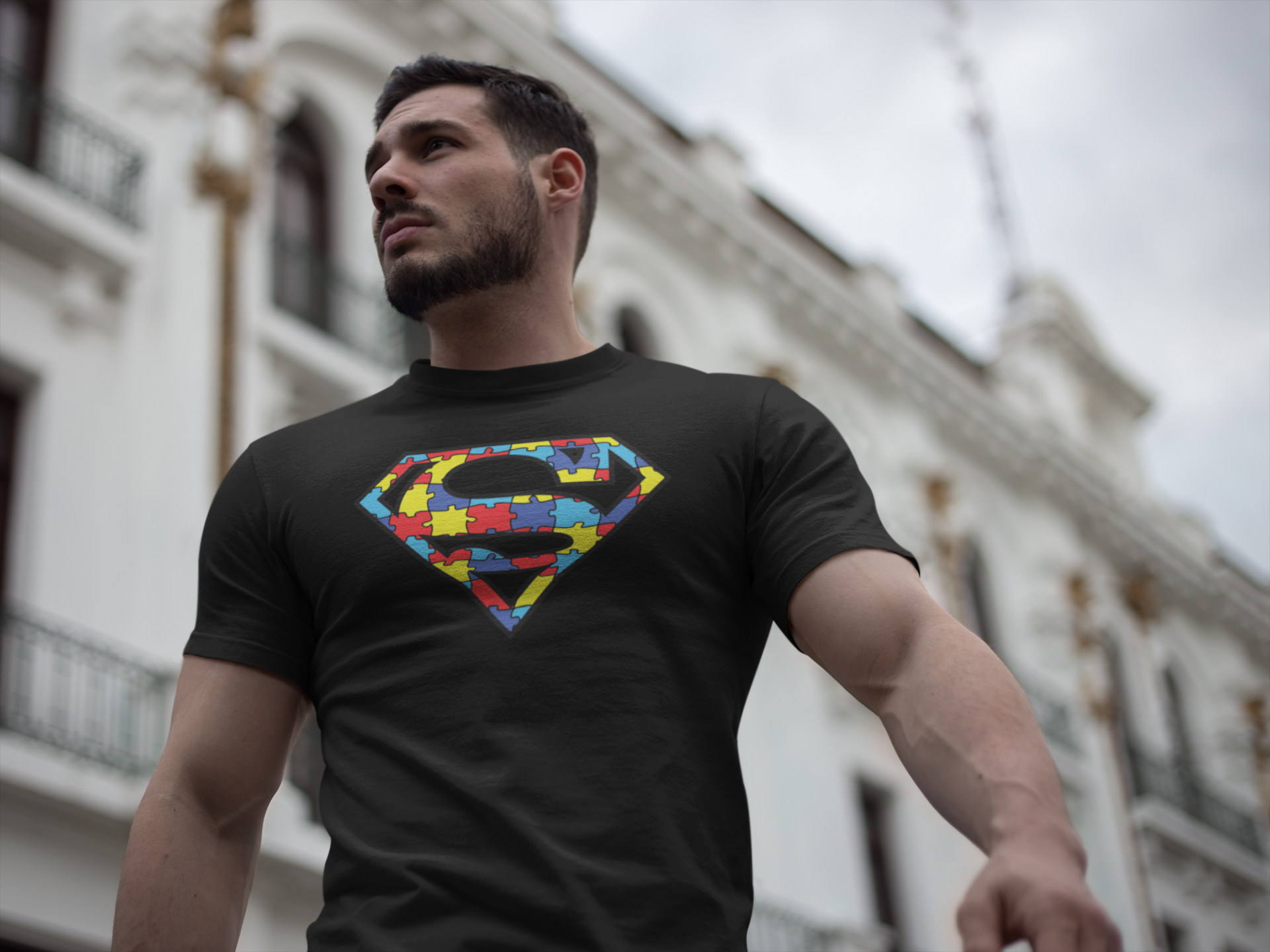 Superman Autism Awareness Emblem T-Shirt